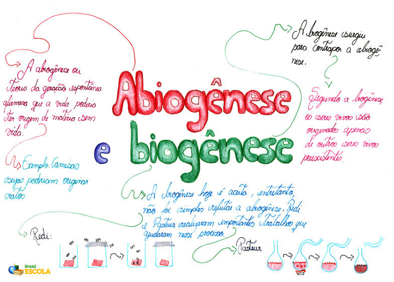 O Que é Abiogênese e Biogênese?