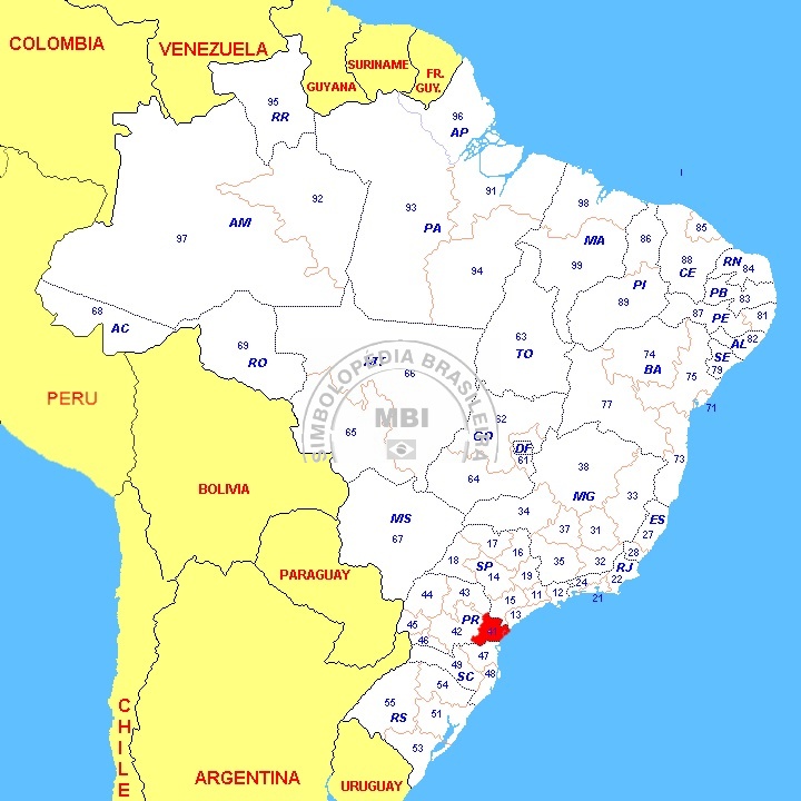 Aprenda Mais Sobre a Região do Brasil Com o DDD 041