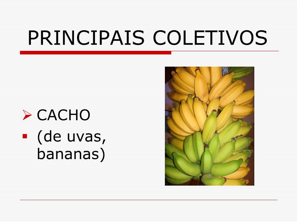 Saiba como criar seu próprio Coletivo de Banana