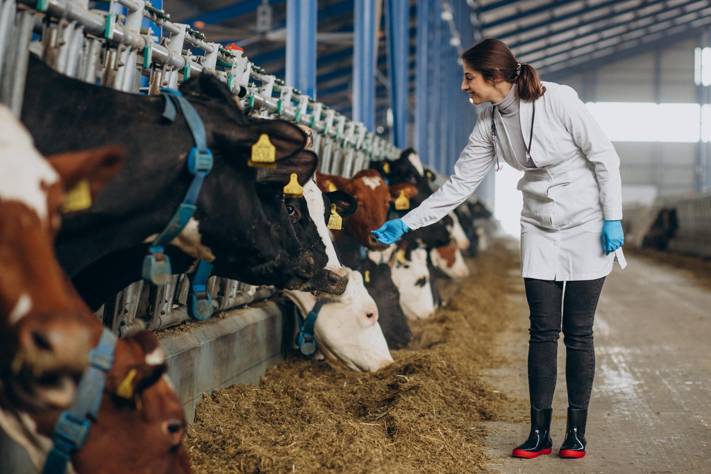 Muito além do milho e da soja: as matérias-primas que fazem parte da nutrição animal 1 matérias-primas que fazem parte da nutrição animal